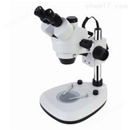 四月体视显微镜