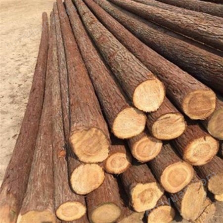 镇江杉木桩直径 胜洁木业 防汛杉木桩出售