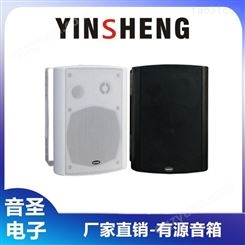 YINSHENG CY325有源商务音箱 带蓝牙功能 专业音响