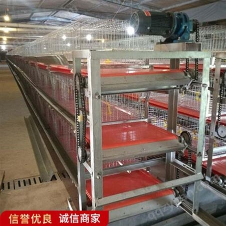 层叠肉鸡笼设备 养鸡场用阶梯式笼子 拆装简便