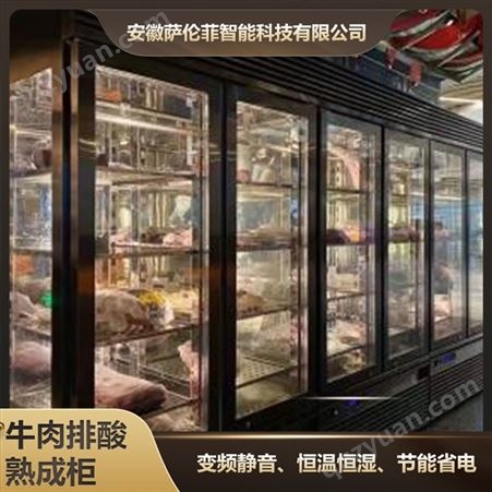 小型商用牛肉熟成柜 西餐厅牛排冷藏排酸柜定制 密封卫生