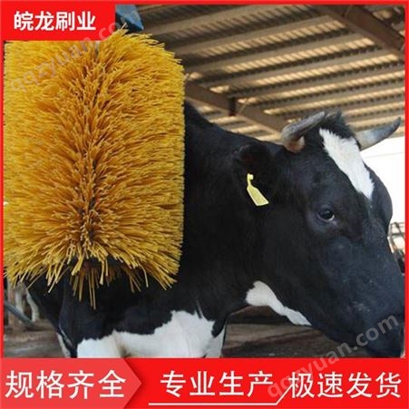 皖龙刷业直供全自动牛体刷 牛体清扫毛刷 奶牛清洗刷 牛体按摩刷