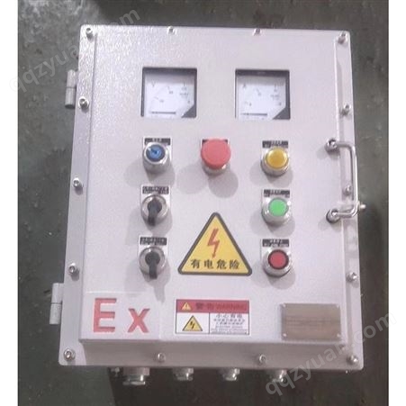 定制防爆铁箱 立式照明动力仪表控制柜 不锈钢配电箱