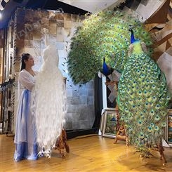 家居蓝白孔雀标本 大型商场装饰动物摆件 造型美观