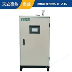 天安高能 大型商用油电供热蓄热锅炉机组GTF-A45