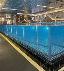 江西吉安民宿玻璃游泳池 无边际游泳池-伊贝莎