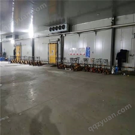 惠州速冻冷库安装 万吨级食品冷冻库雪霸设计