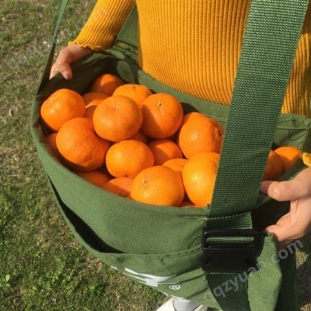 【产品】脐橙采摘 包采果神器品牌保证