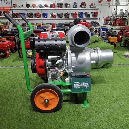 大流量6寸柴油移动式抽水泵 消防水泵 抗洪8寸柴油机自吸水泵
