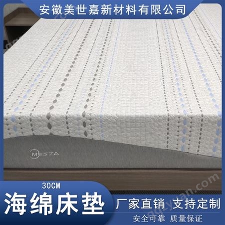 30cm床垫 支持定制 现货直发 单双人加厚海绵床垫 柔软床垫