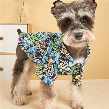 狗猫服装泰博美夏季海边沙滩服衣服花衬衣印花休闲