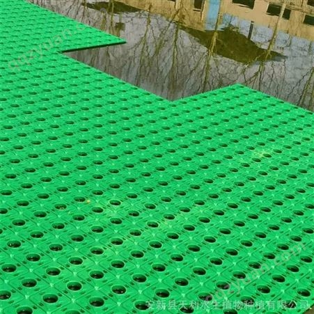 33*33厘米方形塑料人工生态浮岛 河道岸边配置消浪护岸