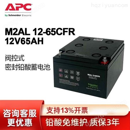 M2AL 12-65CFR施耐德（APC）M2AL 12-65CFR UPS不间断电源铅酸免维护蓄电池 联保3年